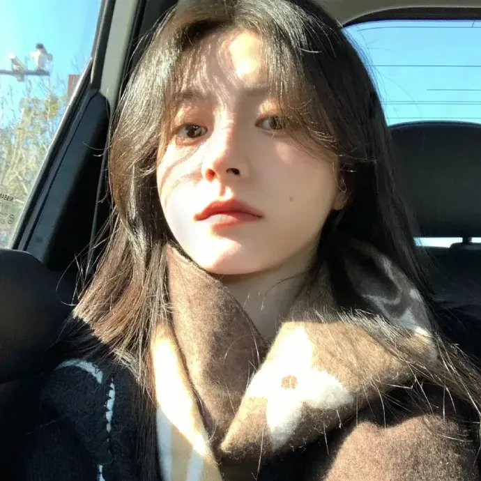 科搜研之女2022