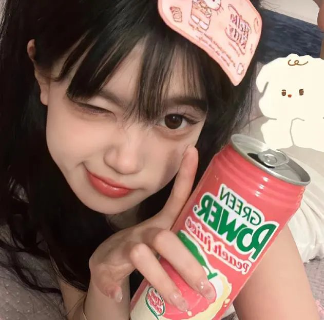 吃土的十二个月