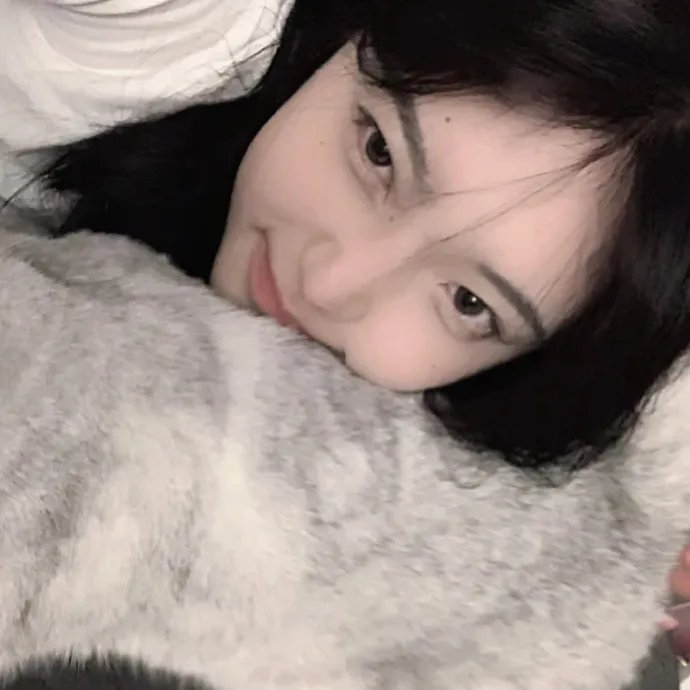 科洛